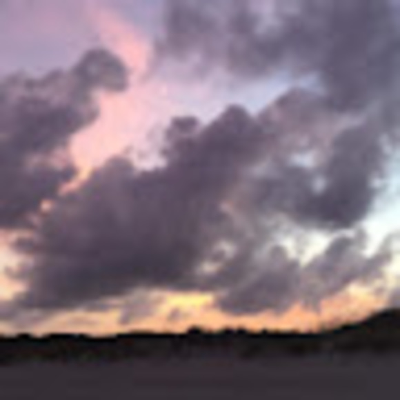 Meet your Posher, Elizabeth - Picture 1 of 1